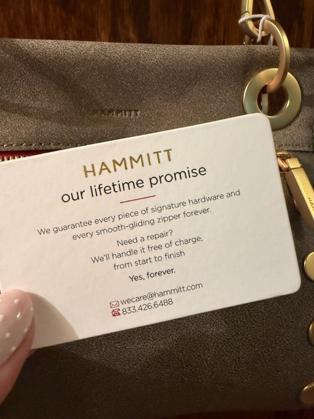 NWT $325 Hammitt Tony Small Pewter Leather Crossbody Bag Brushed Gold Red Zipper - Picture 4 of 4